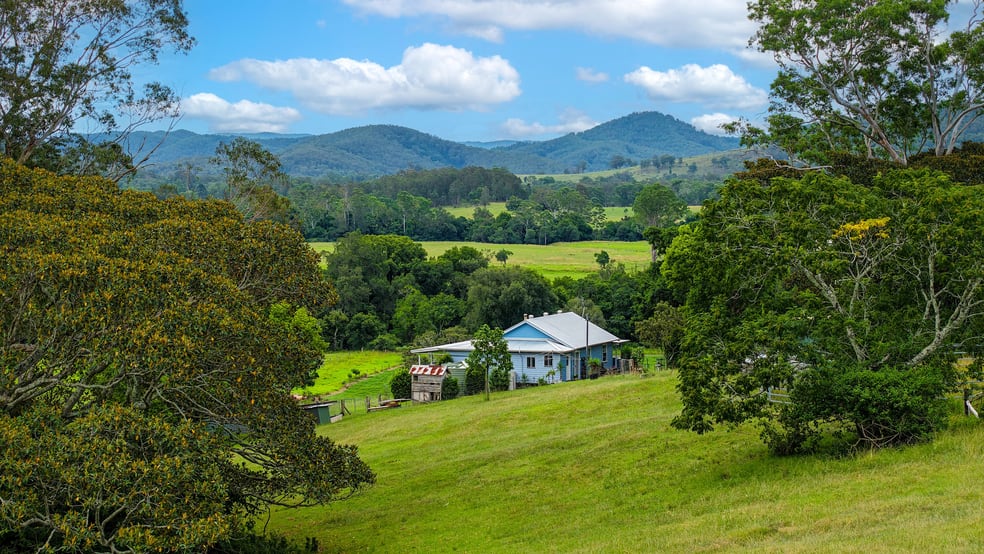 198 Bow Hill Road Dollys Flat NSW 2429 - Image 1