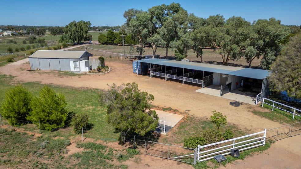 113 Grevillia Road Leeton NSW 2705 - Image 2
