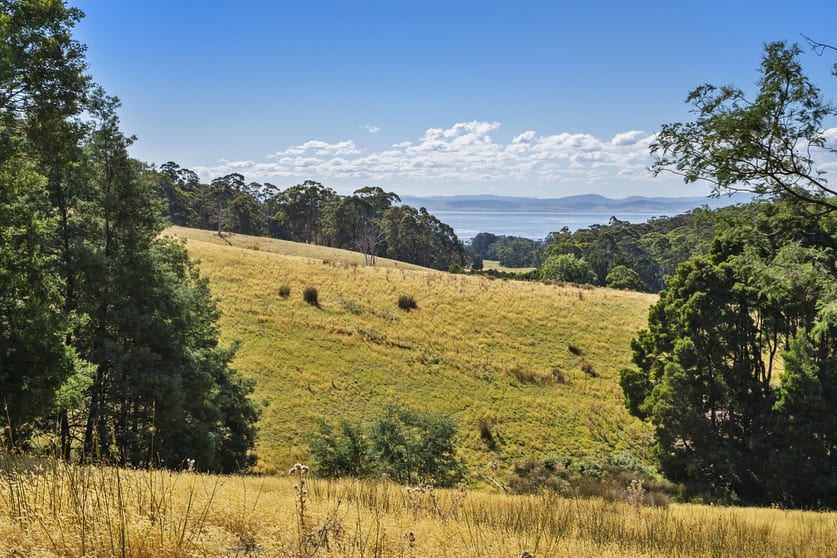 44 Coppings Road & 729 Nubeena Road Premaydena TAS 7185 - Image 3