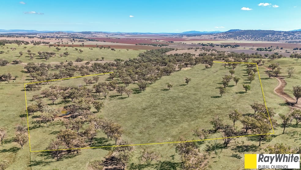 981 Merriwa Road, WARRAH Willow Tree NSW 2339 - Image 1