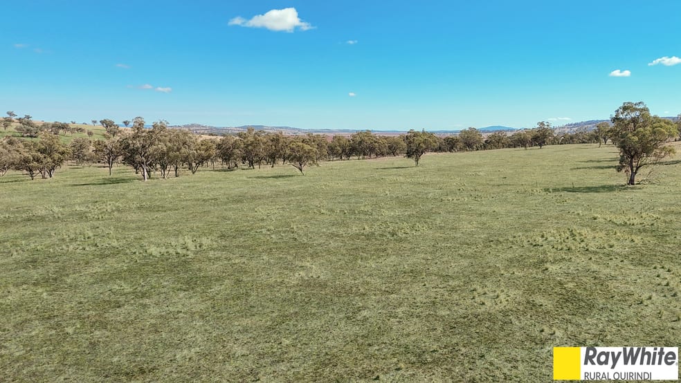 981 Merriwa Road, WARRAH Willow Tree NSW 2339 - Image 3