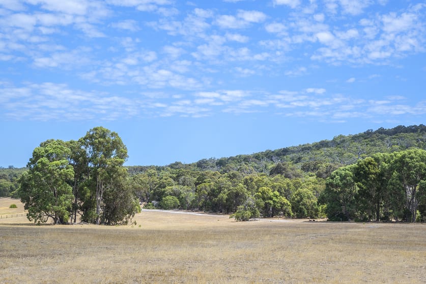 Lot 60 Vidler Road Naturaliste WA 6281 - Image 3