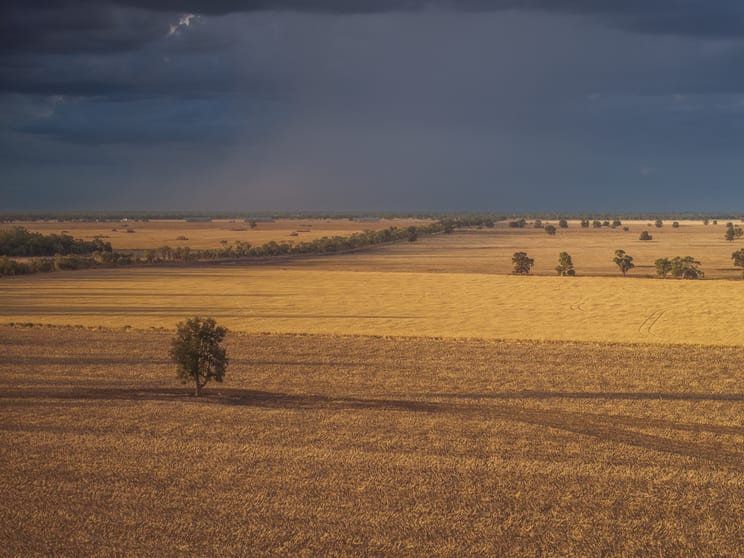 Click to view all images 1048 Wyanga Road Narromine NSW 2821 - Image 2