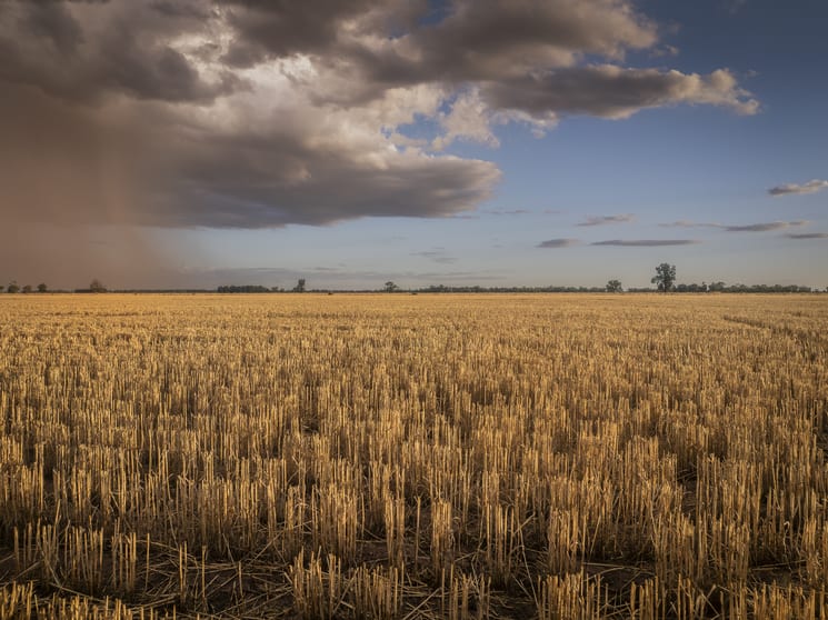 Click to view all images 1048 Wyanga Road Narromine NSW 2821 - Image 3