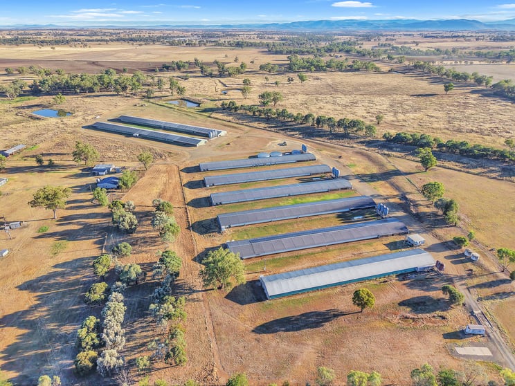 Click to view all images 231 Duri-Dungowan Road Duri NSW 2344 - Image 3
