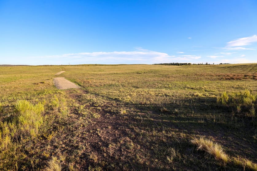 228 Spa Road Windellama NSW 2580 - Image 2
