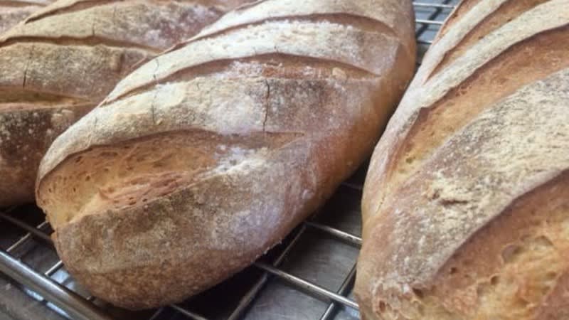 Food, Beverage & Hospitality  business for sale in Hobart - Image 1