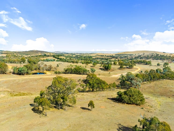 687 Murrumbateman Road Nanima NSW 2582 - Image 3