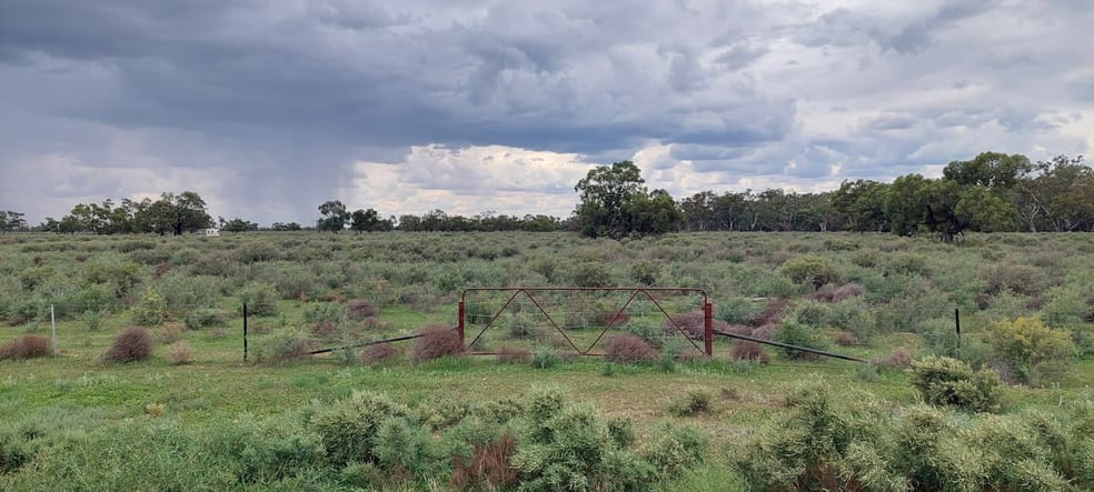 Lots 1,2,3,4 Blue Gum Oxley NSW 2711 - Image 1