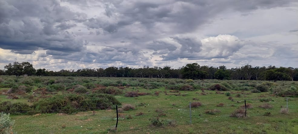 Lots 1,2,3,4 Blue Gum Oxley NSW 2711 - Image 3