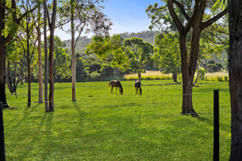 Click to view all images 10A Cottesloe Road Jilliby NSW 2259 - Image 3