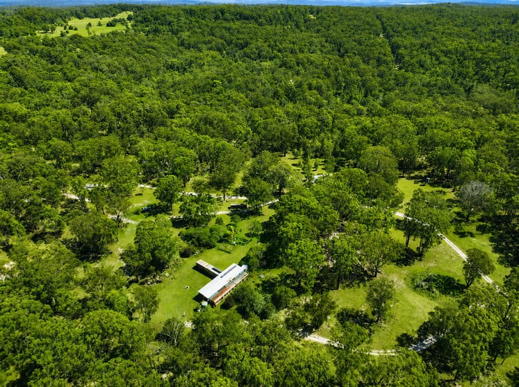 1293 Mount Lindesay Road Tenterfield NSW 2372 - Image 2
