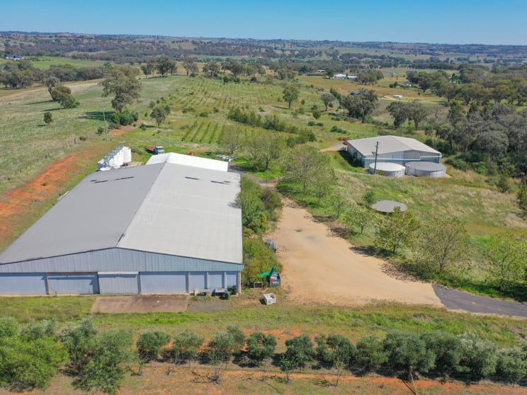 285 Henry Lawson Way Young NSW 2594 - Image 1