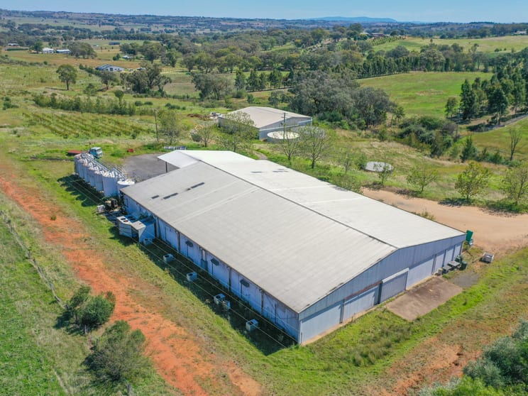 285 Henry Lawson Way Young NSW 2594 - Image 2