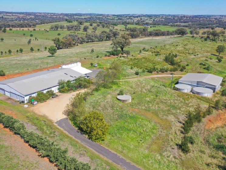 285 Henry Lawson Way Young NSW 2594 - Image 3