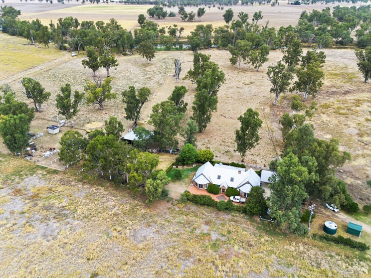 Click to view all images 306 Orange Grove Road Gunnedah NSW 2380 - Image 2