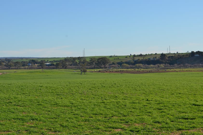 Click to view all images 291 Murrawong Road Murray Bridge SA 5253 - Image 2