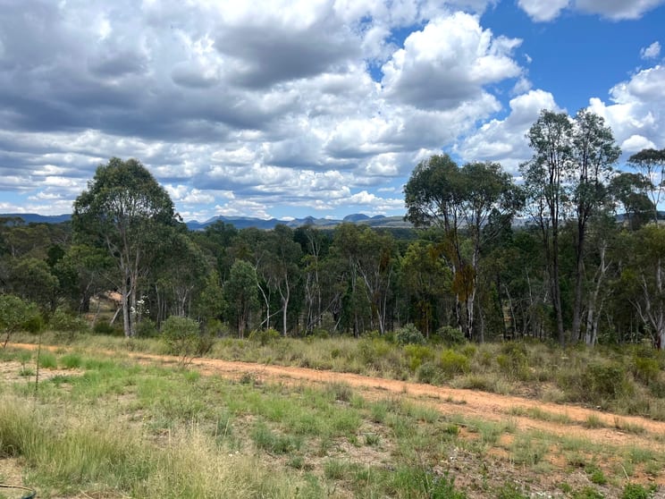 429 Timor Road Coonabarabran NSW 2357 - Image 1
