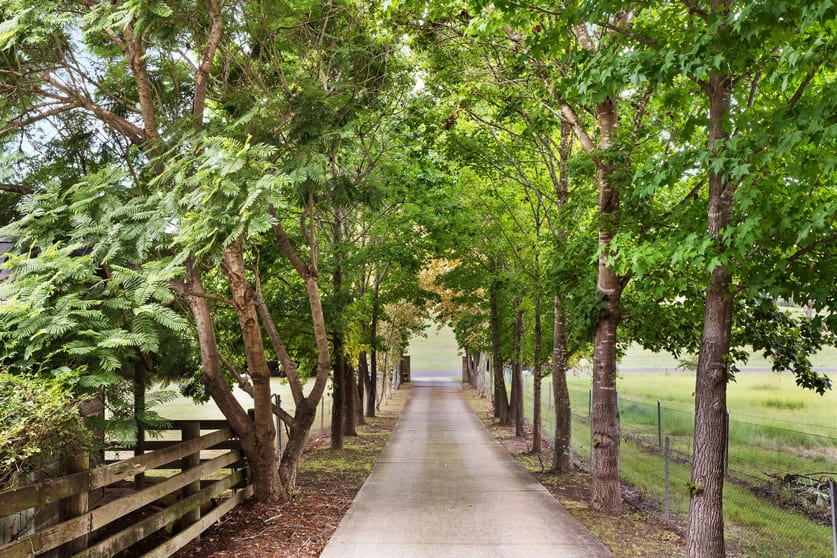 Click to view all images 300 Bents Basin Road Wallacia NSW 2745 - Image 2