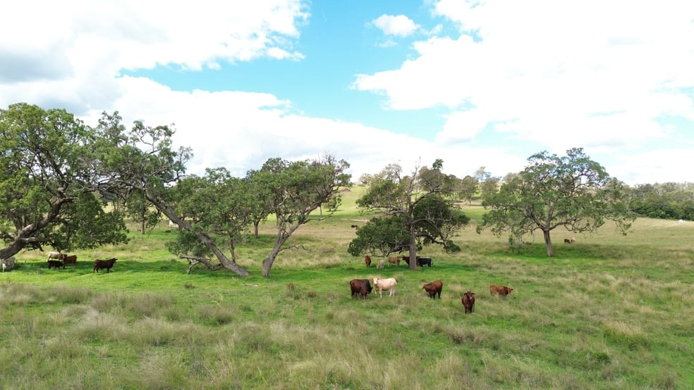 492 North Maclagan Road Maclagan QLD 4352 - Image 2