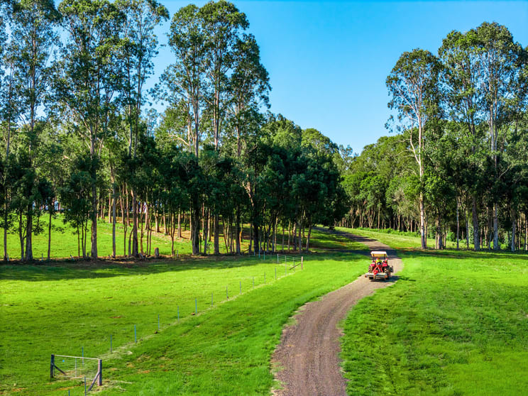 730 Lismore Road Nashua NSW 2479 - Image 1