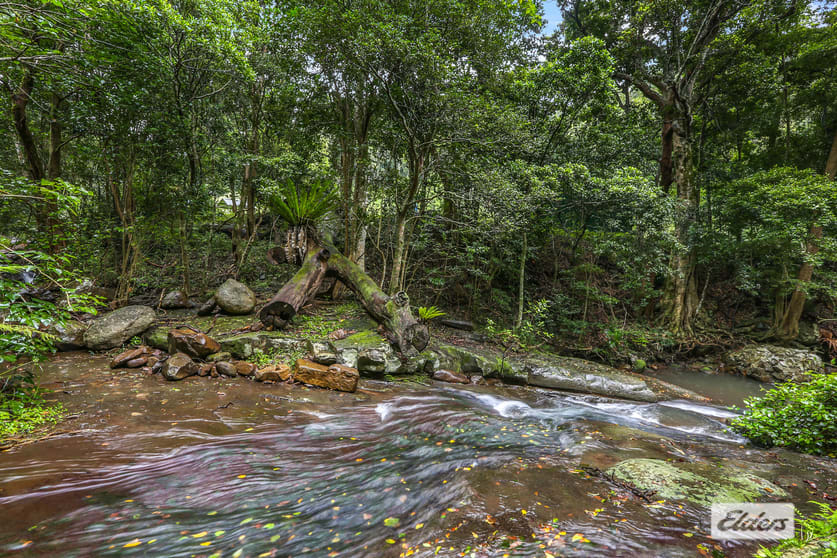 411 Jamberoo Mountain Road Jamberoo NSW 2533 - Image 3