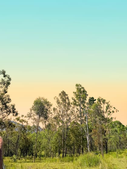 8454 Cunningham Highway Tarome QLD 4309 - Image 3
