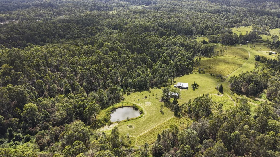 800 Firth Heinz Road Pillar Valley NSW 2462 - Image 3