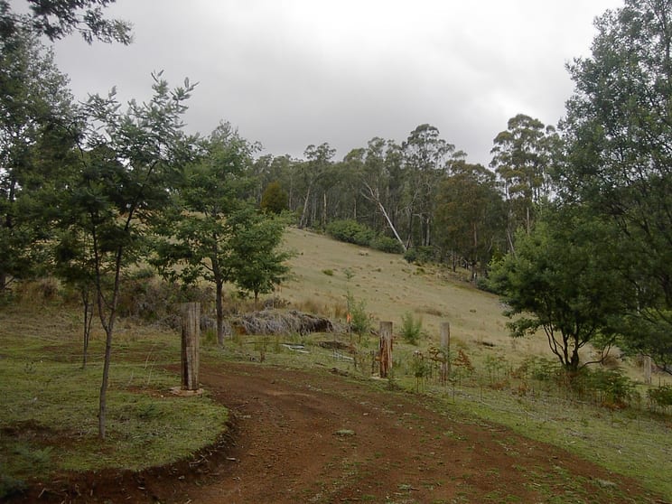 Click to view all images 420 Springhill Bottom Road Colebrook TAS 7027 - Image 2