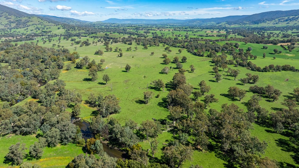 1007 & 1007A Kiewa Valley Highway Staghorn Flat VIC 3691 - Image 1