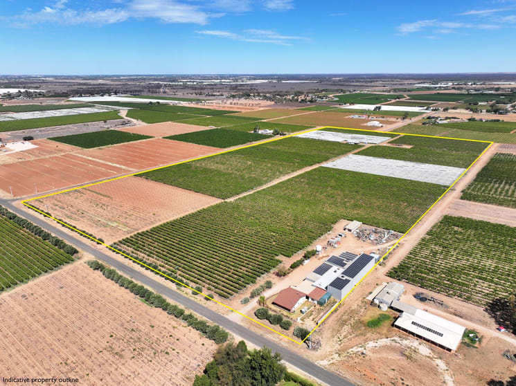 Click to view all images 237 Seventh Street & 174 Cowanna Avenue Merbein South VIC 3505 - Image 1