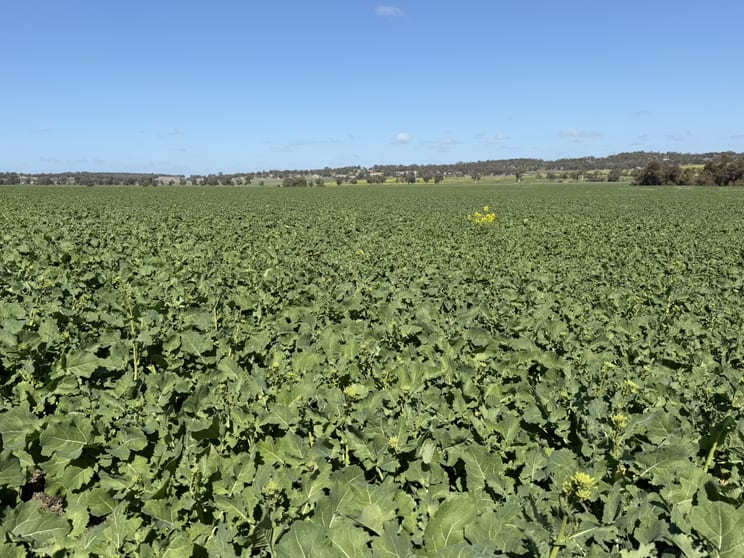 Click to view all images Butchers Road Dale WA 6304 - Image 2