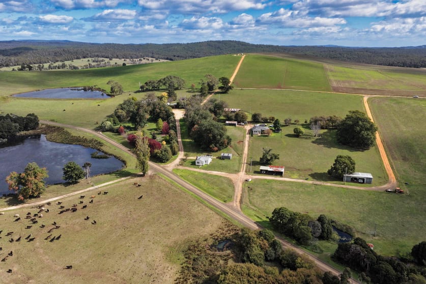 Click to view all images 985 Ferny Hill Road Bridport TAS 7262 - Image 1