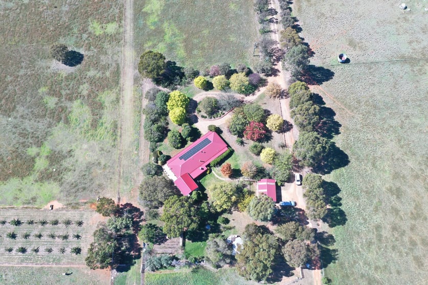 216 Good Friday Gully Road Maimuru via Young NSW 2594 - Image 3