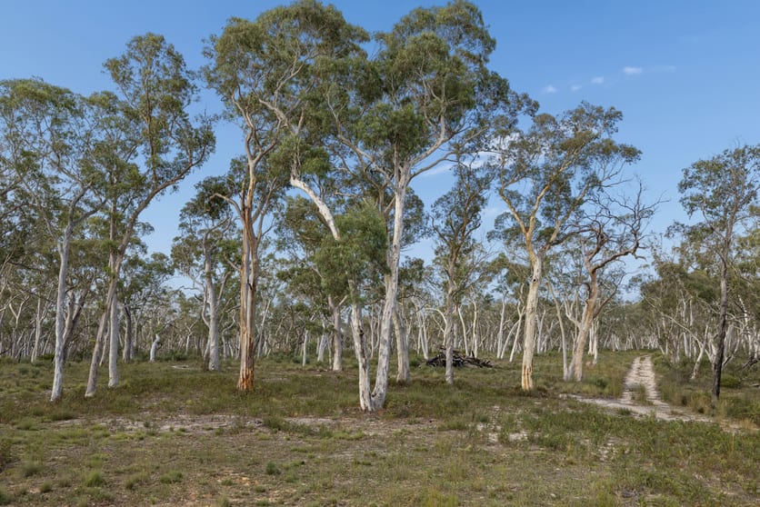 328 Wolgon Rd Windellama NSW 2580 - Image 1