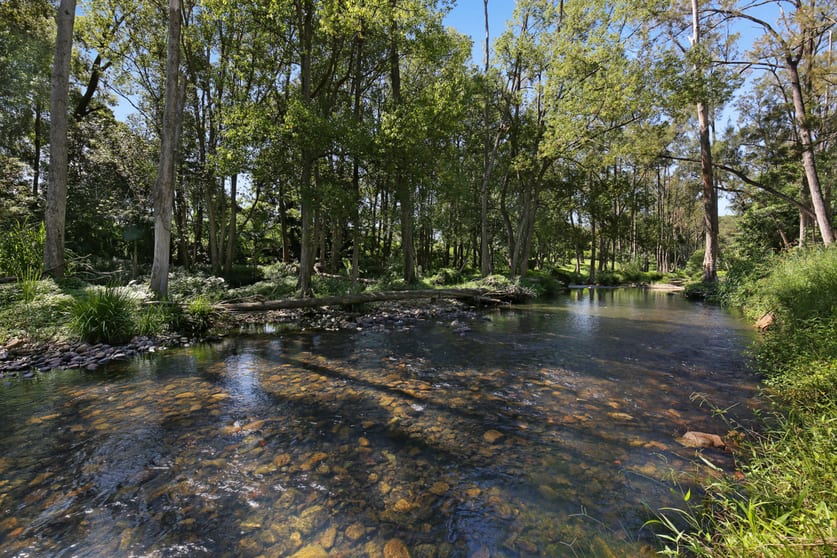52B Syndicate Road Tallebudgera Valley QLD 4228 - Image 3