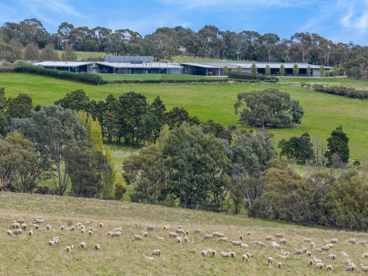 504 Sidonia Road Sidonia VIC 3444 - Image 2