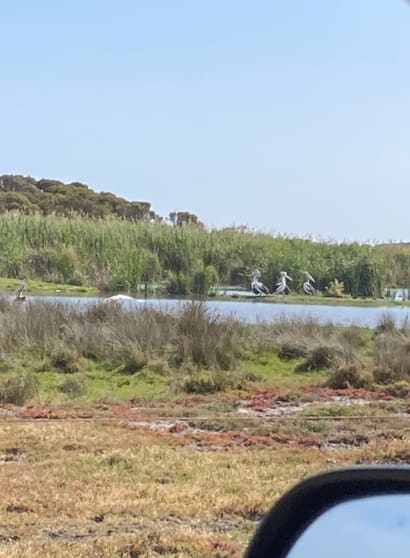 Click to view all images 1408A Randell Road Hindmarsh Island SA 5214 - Image 3
