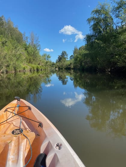 100 Torryburn Road, Torryburn via Vacy NSW 2421 - Image 2