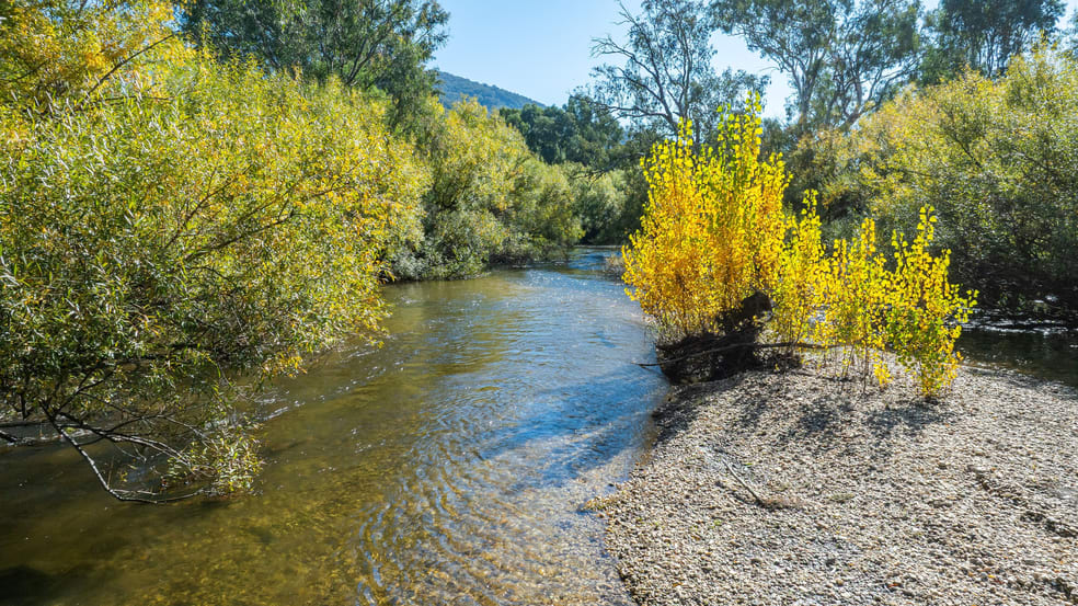 2123 Kiewa Valley Highway Kergunyah VIC 3691 - Image 2