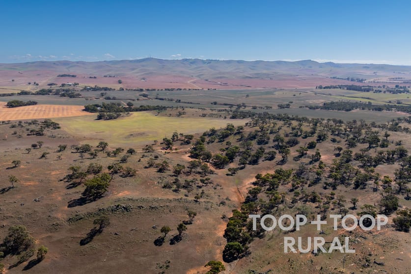 Click to view all images Oaklands Road Dutton SA 5356 - Image 1