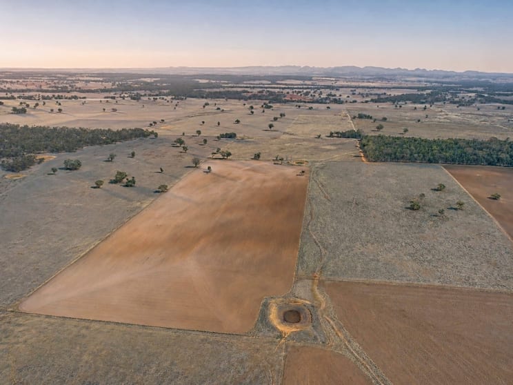 Click to view all images Caruba, 176 Uphills Lane Purlewaugh NSW 2357 - Image 1