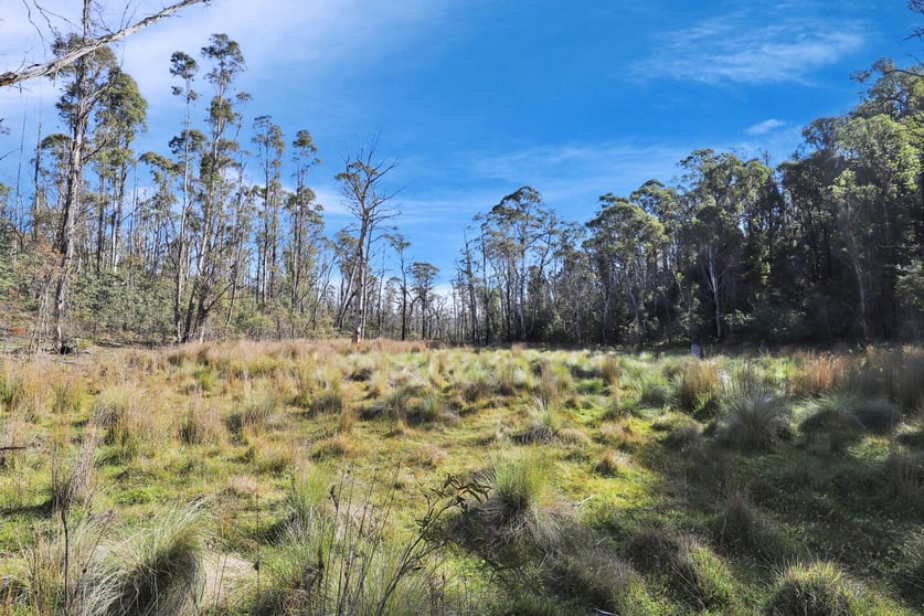 1060 Creewah Road Creewah NSW 2631 - Image 3