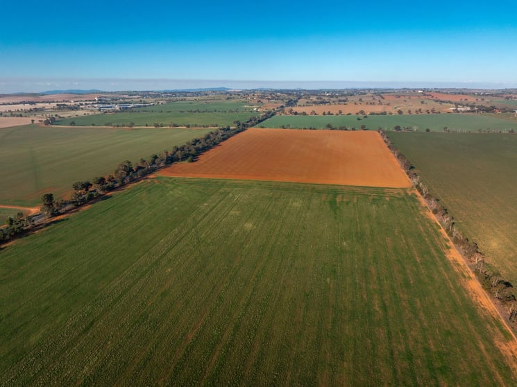 3685 Olympic Highway Junee NSW 2663 - Image 2