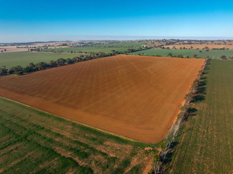3685 Olympic Highway Junee NSW 2663 - Image 3