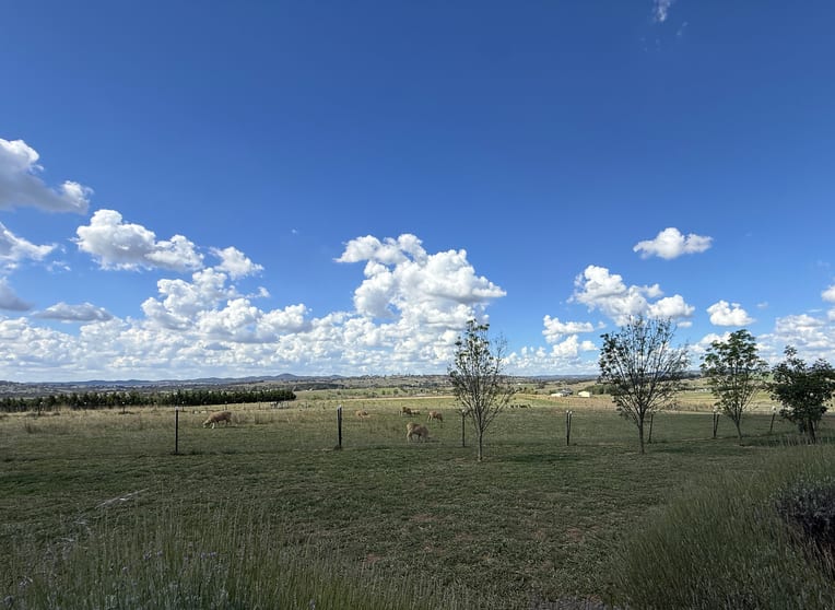 6 O'Hurley Drive Yass NSW 2582 - Image 1