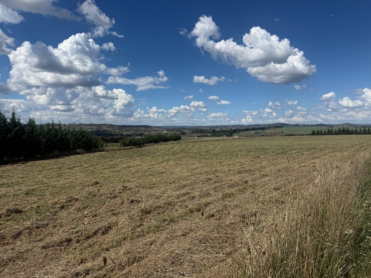 6 O'Hurley Drive Yass NSW 2582 - Image 3