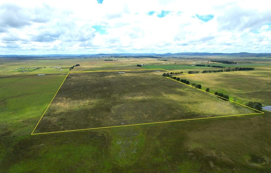 540 Painters Lane Goulburn NSW 2580 - Image 3