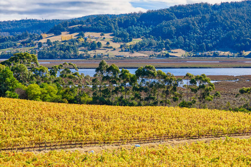 1848 Cygnet Coast Road Cradoc TAS 7109 - Image 2