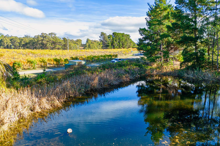 1848 Cygnet Coast Road Cradoc TAS 7109 - Image 3